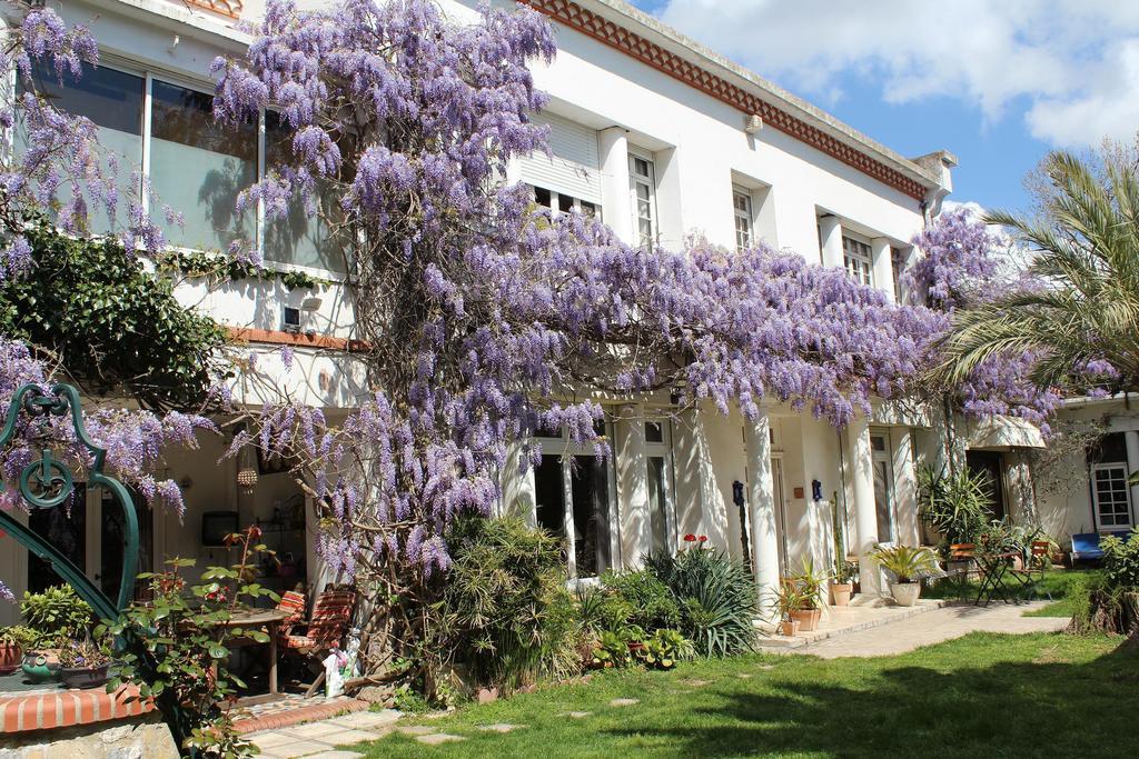 Domaine Saint Nicolas Bed and breakfast Perpiñán