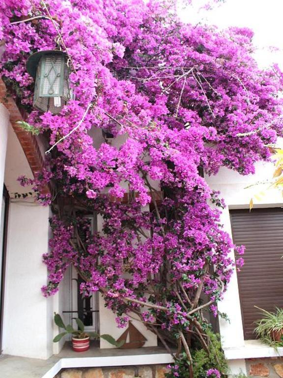 Bed and breakfast Domaine Saint Nicolas *