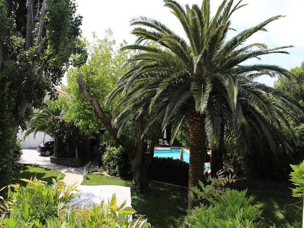 Domaine Saint Nicolas Bed and breakfast Perpiñán